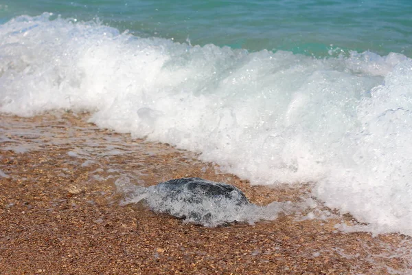 Surf Mare Rompe Onda Furiosa Una Roccia Solitaria Sdraiata Una — Foto Stock