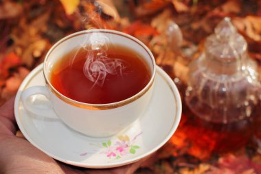 Elinde bir fincan çay Parlak ışık ışınları altında sonbahar yapraklarının arka planında.