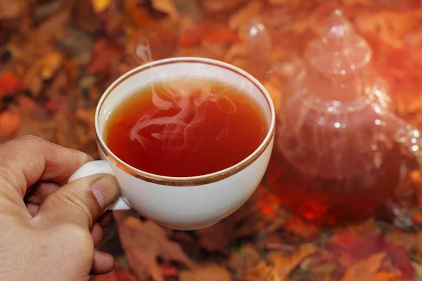a Cup of tea in hand in the rays of bright light against the background of autumn leaves.