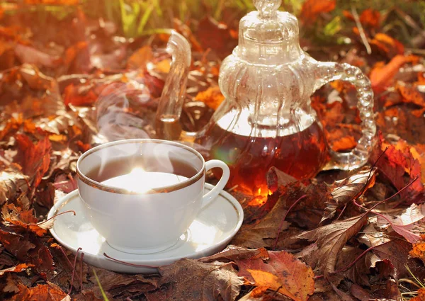 Uma Xícara Chá Quente Carrinho Bule Folhas Outono Caídas Luz — Fotografia de Stock