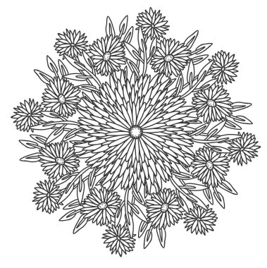 Mandala çiçeği, paskalya papatyası yaprakları çiçek açan bahar çiçekli karalama kitabı sayfası siyah beyaz arkaplan