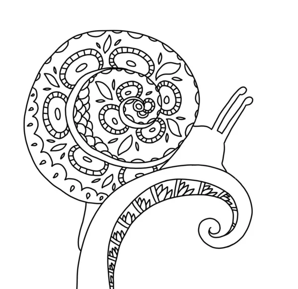 Salyangoz kabuğu deseni. Sakin boyama sayfası. Siyah beyaz sanat terapisi.