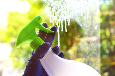 Pencereleri mavi eldivenli bir elle yıkamak, temizlik için sprey sıkmak. Pencerenin dışında yemyeşil ve parlak güneş ışığı var.