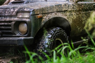 Aşırı sürüş, meydan okuma ve 4x4 araç konsepti. Ormanda off-road yarışı. SUV veya offroad car