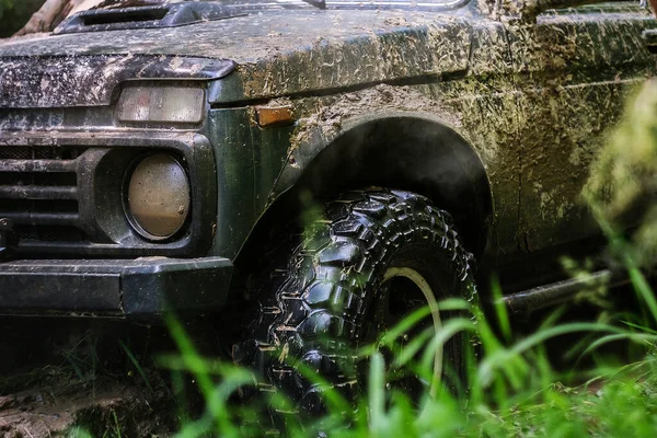 Extrém Vezetés Kihívás 4X4 Jármű Koncepció Offroad Verseny Erdőben Suv — Stock Fotó