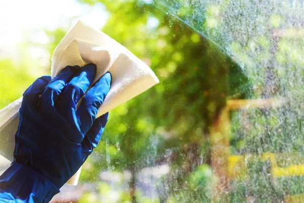 washing Windows with a white rag with a blue-gloved hand. outside the window, lush greenery and bright sunlight