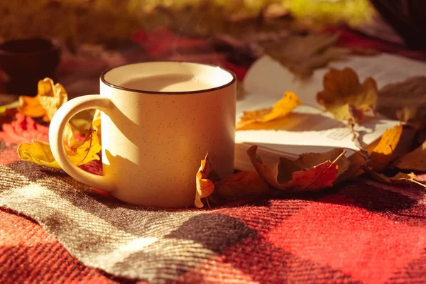 一杯咖啡和一本黄色的书放在红色的格子布毯子上 秋天温暖舒适的照片 图库图片