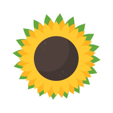 Beyaz arkaplanda izole edilmiş tam çiçeklenmiş vektör sarı ayçiçeği