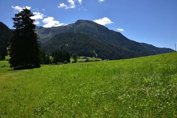Groene Weiden Van Val Casies Prachtig Zijdal Van Pusteria — Stockfoto