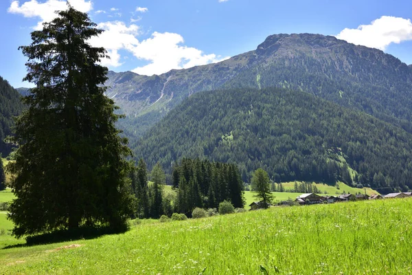 Canto Verde Nas Montanhas Val Casies — Fotografia de Stock