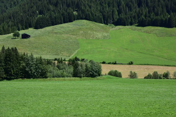 Zielone Pola Górskie Górnej Części Gsieser Tal — Zdjęcie stockowe