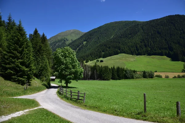 Gsies Völgy Végén Jelzi Utat Alpesi Kunyhókhoz Legelőkhöz Hegyekben — Stock Fotó