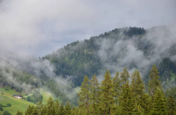 Nuvens Baixas Sobre Florestas Vale — Fotografia de Stock