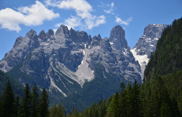 Cristallo Dolomites grubunun bir kısmının önplanı