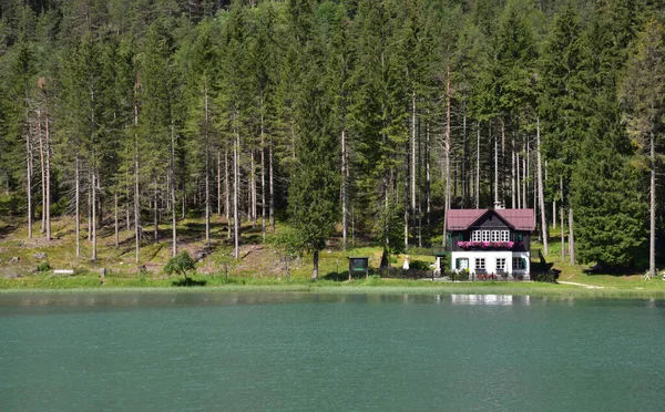 Liten Stuga Belägen Stranden Sjön Vid Kanten Skogen Royaltyfria Stockbilder