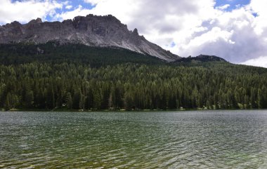 Misurina Gölü kıyısında geniş ormanlar. Arka planda Cadini grubu ve sağda Col de Varda grubu var.