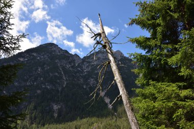 Serla Dağı 'nın önünde eski bir sandık.