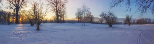 清晨的冬日仙境 — 图库照片