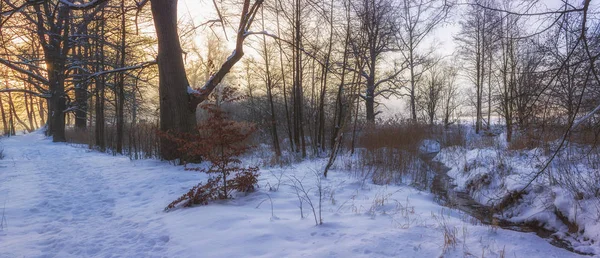 País Das Maravilhas Inverno Pela Manhã — Fotografia de Stock