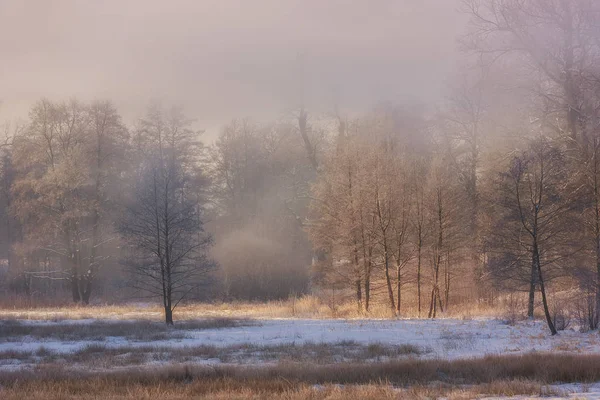 Winterwunderland Morgen — Stockfoto