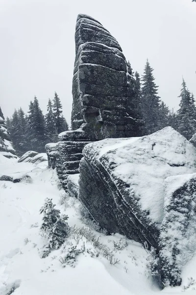 Inverno Karkonosze Nebbia Gelo Neve — Foto Stock