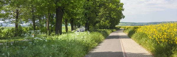 Asfalto Strada Campi Panorama — Foto Stock