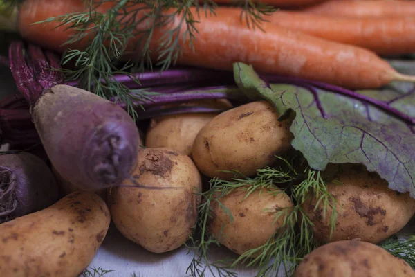 Organik Gıda Vejetaryen Yemek — Stok fotoğraf