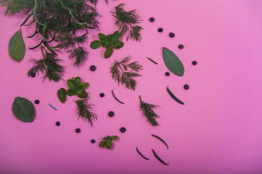 düz arka plan üzerinde otlar