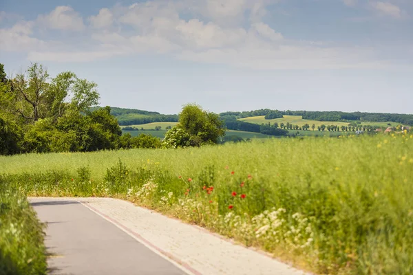 Primavera Paesaggio Rurale Bello — Foto Stock