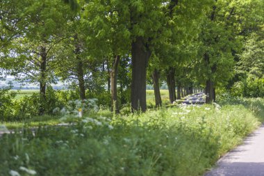 Bahar kırsal manzara manzara