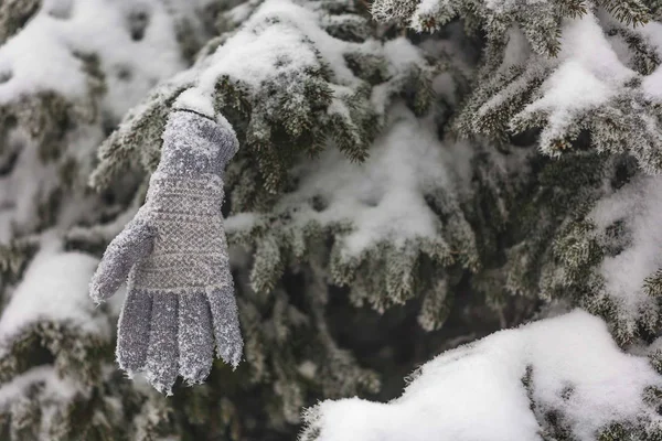 Winter Wonderland Sneeuw Scenic — Stockfoto