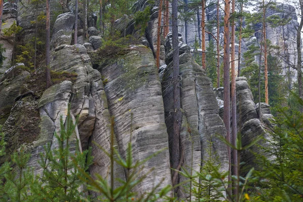 Parque Nacional Adrspach Teplice Rocas Rock Town República Checa —  Fotos de Stock