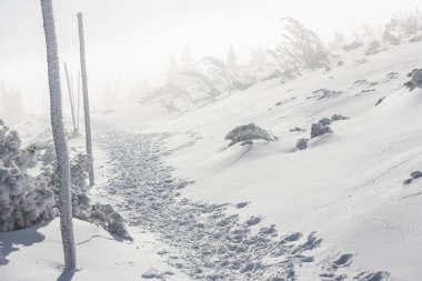 Karkonosze - sis, kışın Don nad kar