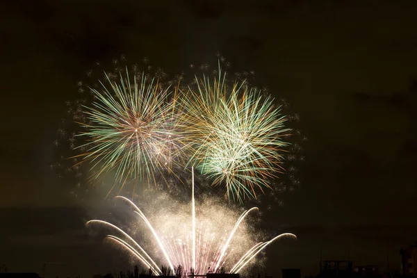 Fuochi Artificio Colorati Una Celebrazione Notte — Foto Stock