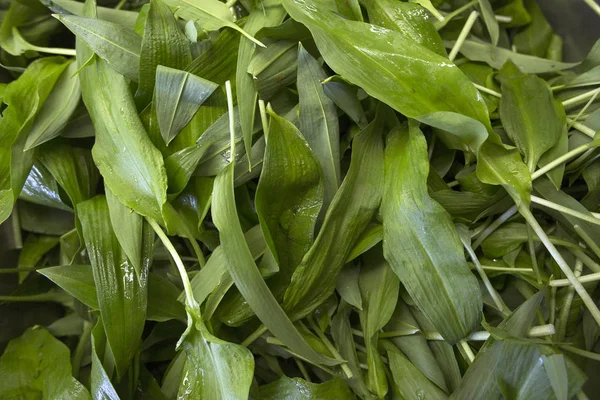 Bir kasede yabani sarımsak.