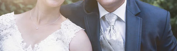 Panoráma Menyasszony Vőlegény Iin Park Esküvői Zászló — Stock Fotó