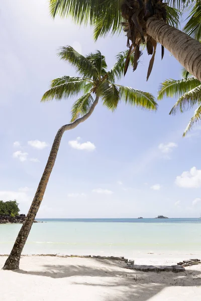 Paysage Tropical Île Praslin Aux Seychelles — Photo