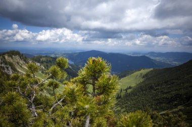 Brecherspitze, Bavyera, Almanya 'nın yaz mevsiminde dağ manzarası