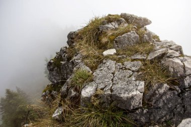Sisli sonbaharda Breitenstein Dağı