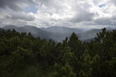 Yazın Almanya 'da Bavyera dağlarında sağanak yağmur