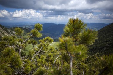 Dağ panorama görünüm Brecherspitze, Bavyera