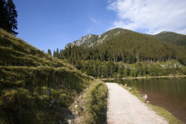 Mountainn lake Spitzingsee, Bavyera dağları, Almanya