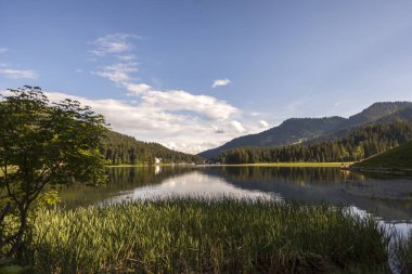 Mountainn lake Spitzingsee, Bavyera dağları, Almanya