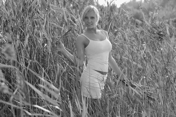 在高草背景上的年轻女孩 — 图库照片
