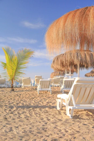 Sandy beach with sun beds and umbrella — Stock Photo, Image