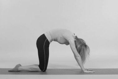 Stüdyoda poz veren genç, güzel yoga.