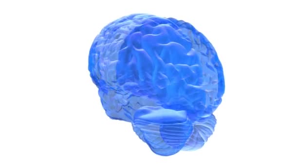 Cerebro humano 3D render — Vídeos de Stock