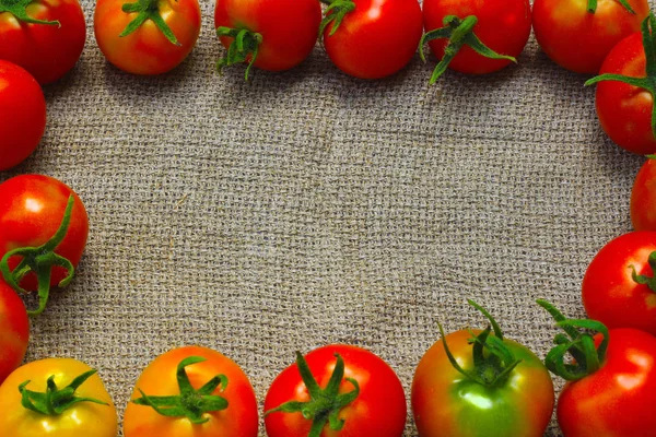 新鮮な熟した赤いトマト — ストック写真