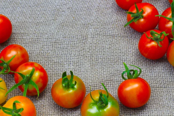 Tomates vermelhos maduros frescos — Fotografia de Stock