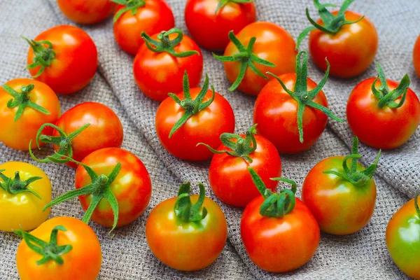 Tomates vermelhos maduros frescos — Fotografia de Stock